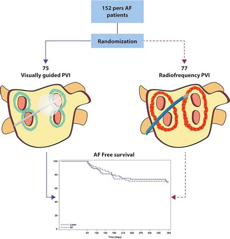 Year in Review in Cardiac Electrophysiology .